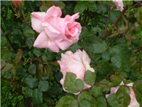 188eb952-Picture 188.jpg